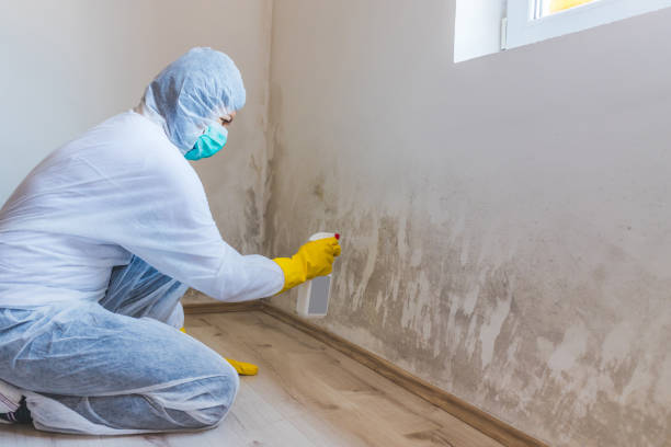 Licensed Bathroom Mold Removal service in Jarratt, VA - WQB Mold Removal