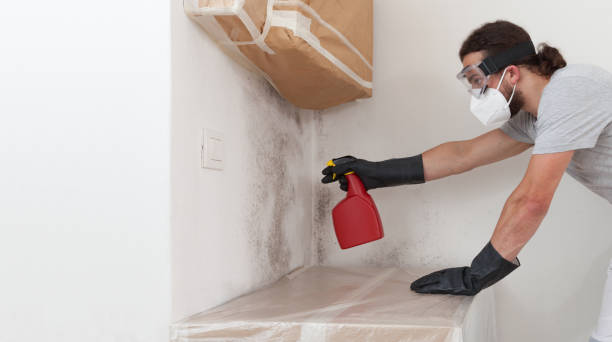 Professional Bathroom Mold Removal technician working in Jarratt, VA