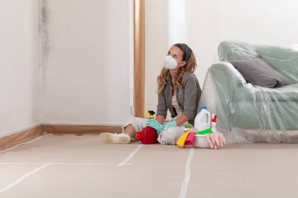 Reliable Bathroom Mold Removal contractor in Jarratt, VA by WQB Mold Removal